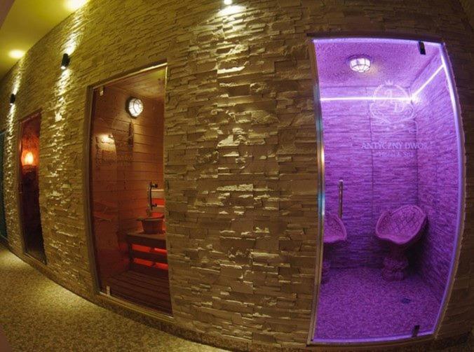 Hotel Wellness & Spa Antyczny Dwor Rudna Mala المظهر الخارجي الصورة